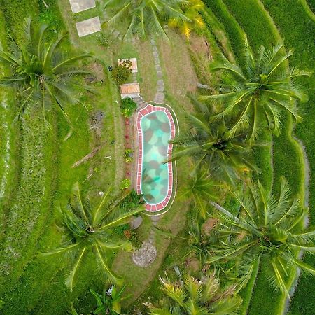 Pesona Bali Ecolodge By Agata 자띠루위 외부 사진