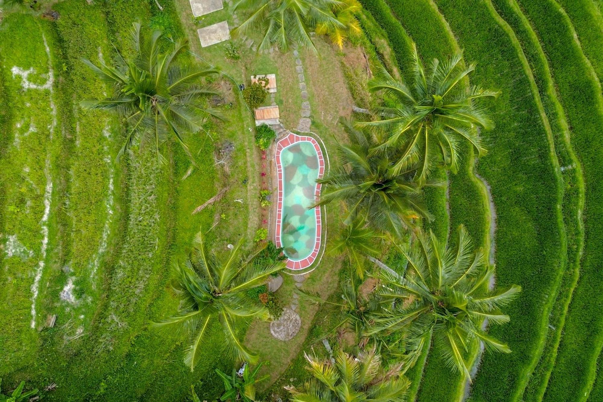 Pesona Bali Ecolodge By Agata 자띠루위 외부 사진
